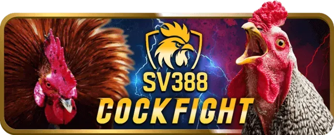 Đá gà Philippines (Sabong) tại win55
